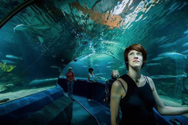 aquarium travelator